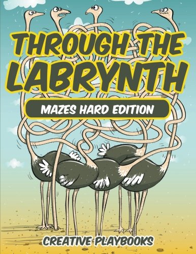 Through the Labyrinth Mazes Hard Edition [Paperback]