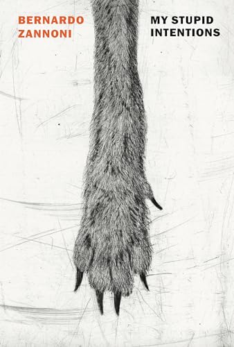 My Stupid Intentions [Paperback]