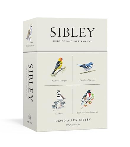 Sibley Birds of Land, Sea, and Sky 50 Postcards [Cards]