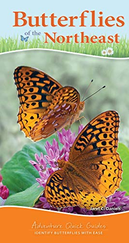 Butterflies of the Northeast Identify Butterflies with Ease [Spiral bound]