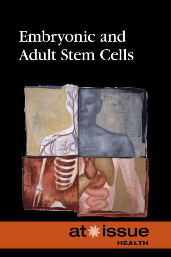 Embryonic And Adult Stem Cells (at Issue Series) [Paperback]