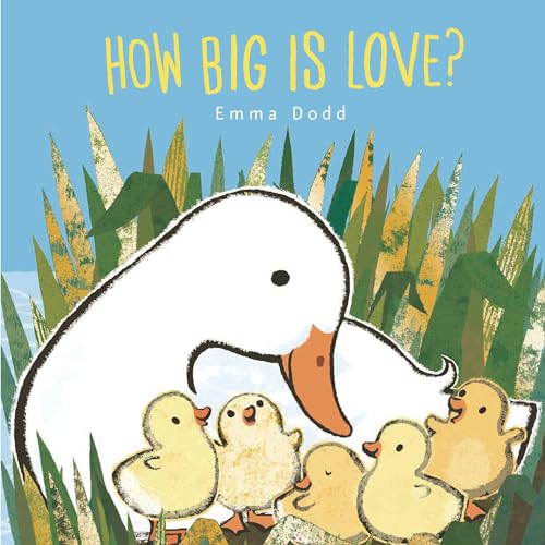 How Big Is Love [Board book]