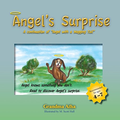Angel's Surprise [Paperback]