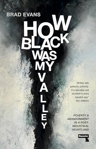How Black Was My Valley Poverty and Abandonment in a Post-Industrial Heartland [Paperback]