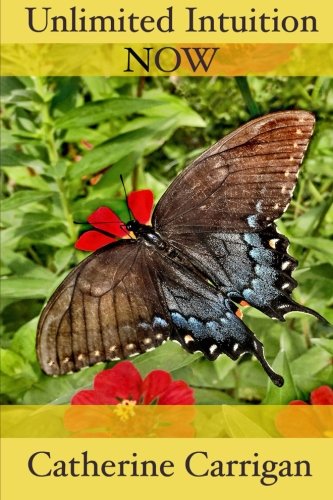 Unlimited Intuition Now [Paperback]