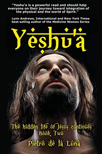 Yeshu'a The Story Of The Hidden Life Of Jesus Book Two [Paperback]