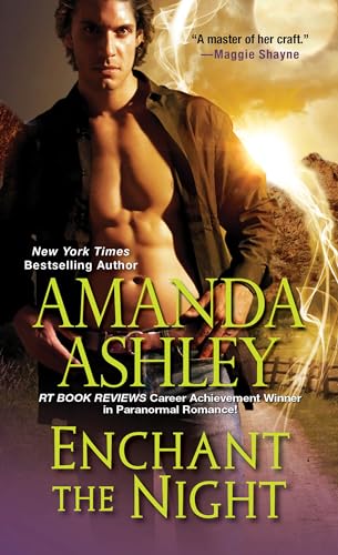 Enchant the Night [Paperback]