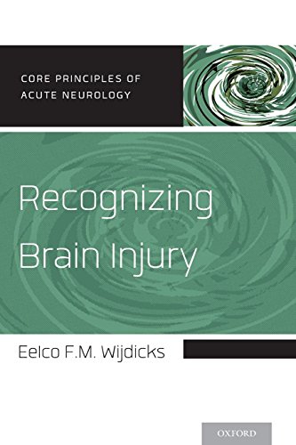 Recognizing Brain Injury [Paperback]