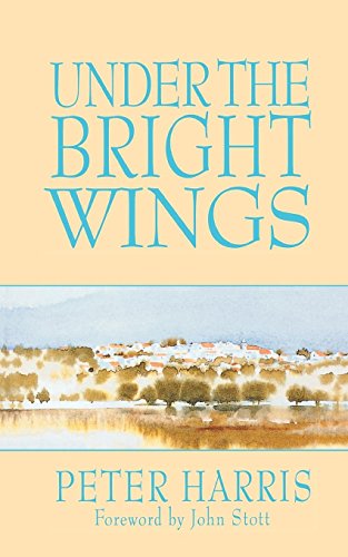 Under The Bright Wings [Paperback]