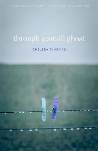 Through a Small Ghost Poems [Paperback]