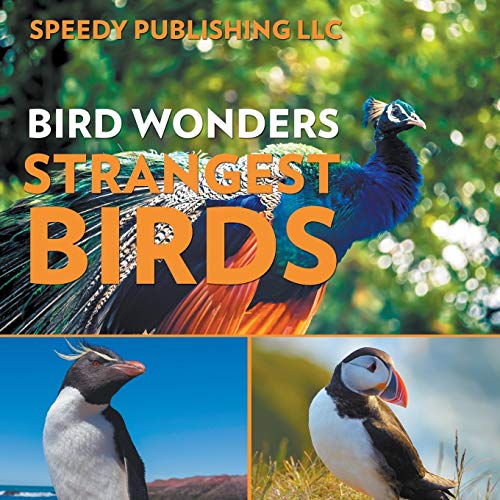 Bird Wonders Strangest Birds [Paperback]