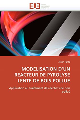 Modelisation D'un Reacteur De Pyrolyse Lente De Bois Pollue Application Au Trai [Paperback]