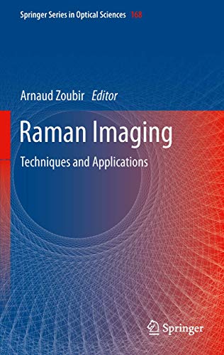 Raman Imaging Techniques and Applications [Paperback]