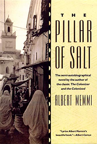 The Pillar of Salt [Paperback]
