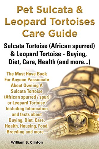 Pet Sulcata & Leopard Tortoises Care Guide Sulcata Tortoise (african Spurred) &  [Paperback]