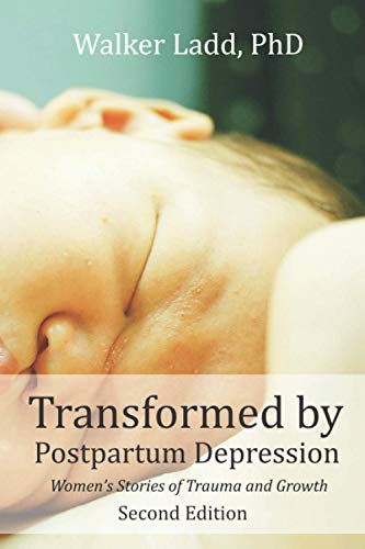 Transformed by Postpartum Depression  Women's Stories of Trauma and Growth [Paperback]