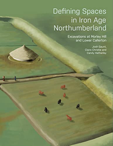 Defining Spaces in Iron Age Northumberland Excavations at Morley Hill and Lower [Paperback]