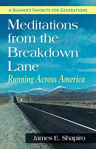 Meditations from the Breakdown Lane [Paperback]