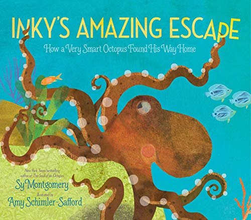 Inky&39s Amazing Escape How a Very Smart Octopus Found His Way Home [Paperback]