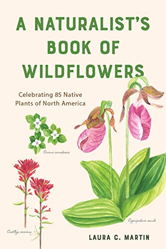 A Naturalist's Book of Wildflowers Celebrating 85 Native Plants in North Americ [Paperback]