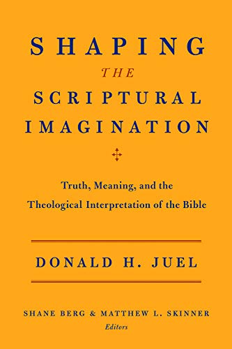 Shaping The Scriptural Imagination Truth, Meaning, And The Theological Interpre [Paperback]