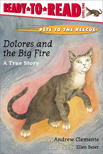 Dolores and the Big Fire Ready-to-Read Level 1 [Hardcover]