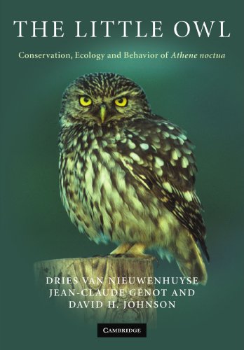 The Little Owl Conservation, Ecology and Behavior of Athene Noctua [Paperback]