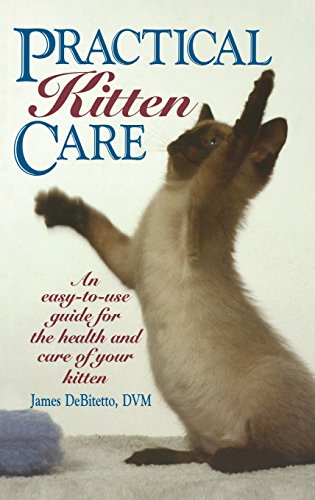 Practical Kitten Care [Hardcover]