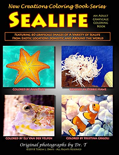 New Creations Coloring Book Series  Sealife [Unknown]