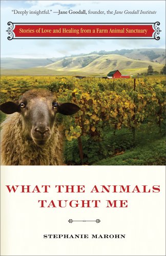What The Animals Taught Me Stories Of Love And Healing From A Farm Animal Sanct [Paperback]