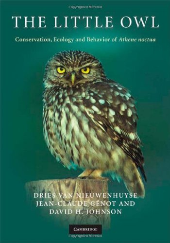 The Little Owl Conservation, Ecology and Behavior of Athene Noctua [Hardcover]