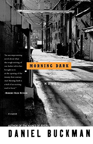 Morning Dark A Novel [Paperback]