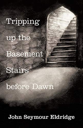 Tripping Up The Basement Stairs Before Dawn An Awakening [Paperback]