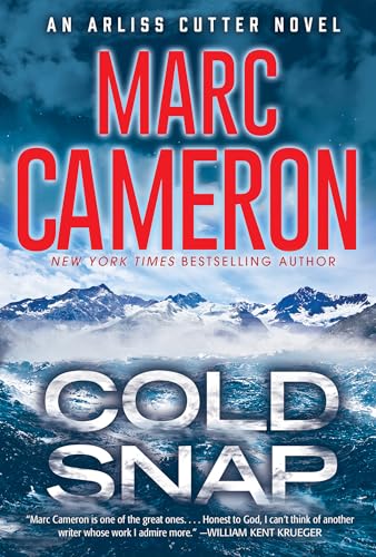 Cold Snap An Action Packed Novel of Suspense [Paperback]