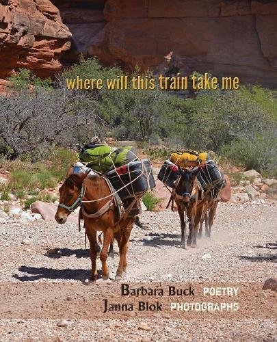 Where Will This Train Take Me [Paperback]