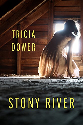 Stony River [Paperback]