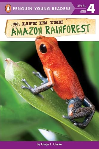 Life in the Amazon Rainforest [Paperback]