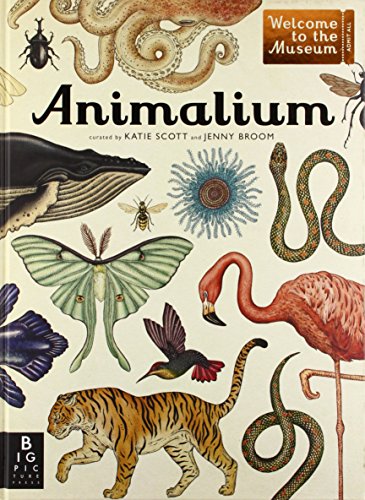 Animalium (welcome To The Museum) [Hardcover]