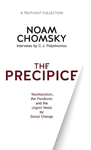 The Precipice Neoliberalism, the Pandemic and Urgent Need for Social Change [Hardcover]