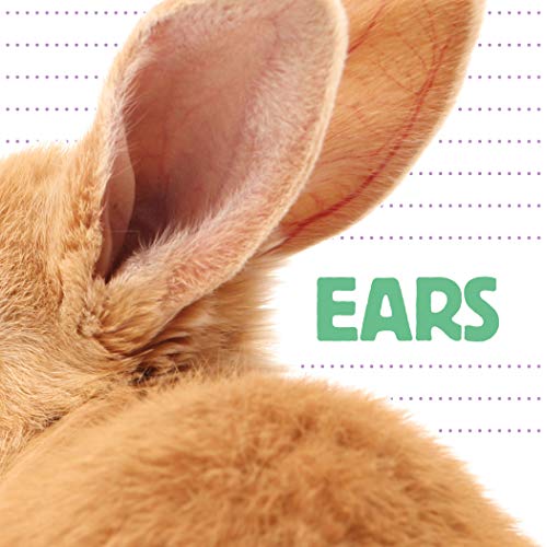Ears [Unknown]