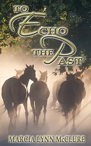 To Echo The Past [Paperback]