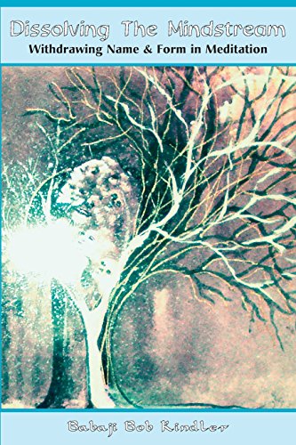 Dissolving The Mindstream [Perfect Paperback]