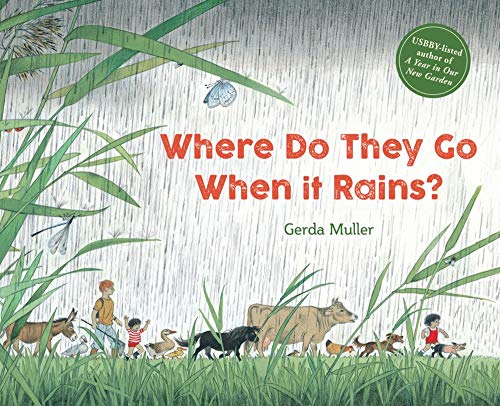 Where Do They Go When It Rains [Hardcover]