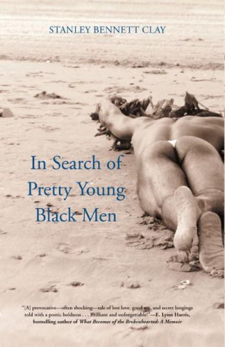 In Search of Pretty Young Black Men A Novel [Paperback]