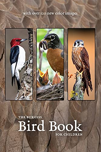 Burgess Bird Book With New Color Images