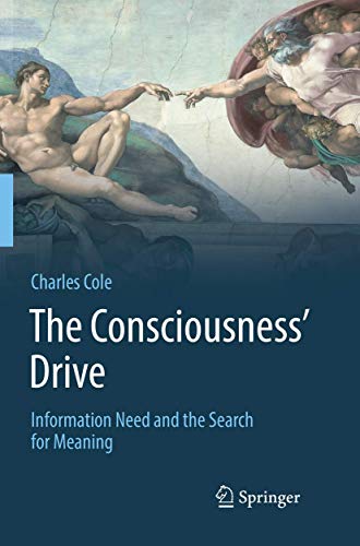 The Consciousness Drive Information Need and the Search for Meaning [Paperback]