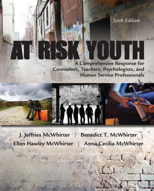 At Risk Youth [Paperback]