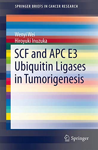SCF and APC E3 Ubiquitin Ligases in Tumorigenesis [Paperback]