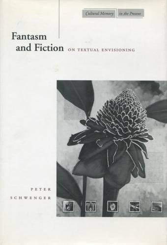 Fantasm and Fiction On Textual Envisioning [Paperback]