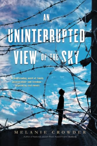An Uninterrupted View of the Sky [Paperback]